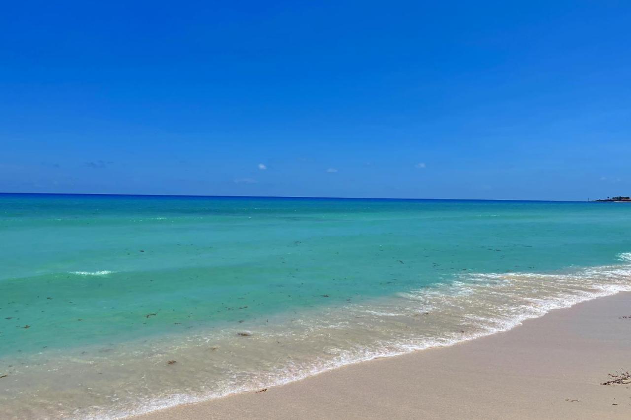 Renovated Studio In Cancun Beach At The Hotel Zone Exteriör bild