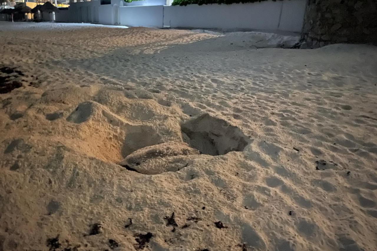 Renovated Studio In Cancun Beach At The Hotel Zone Exteriör bild